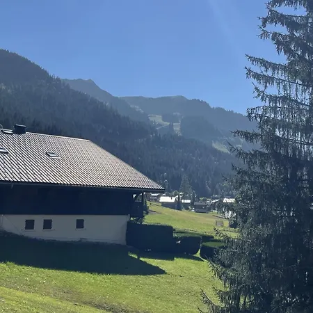 Cosy Pour 4 Personnes A Chatel, Balcon Et Parking - Fr-1-676-210 * Châtel