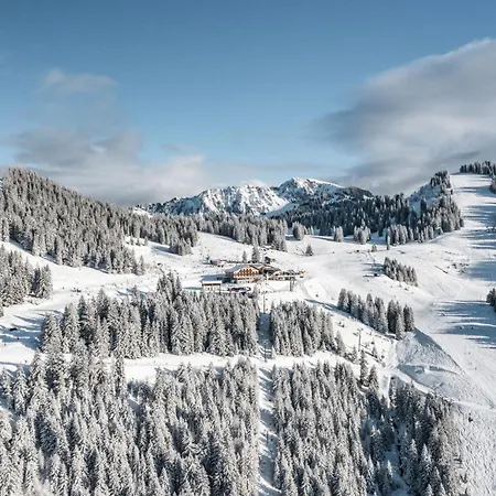 Cosy Pour 4 Personnes A Chatel, Balcon Et Parking - Fr-1-676-210 Lägenhet *